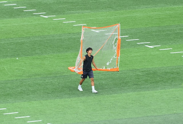 为巴黎后续
