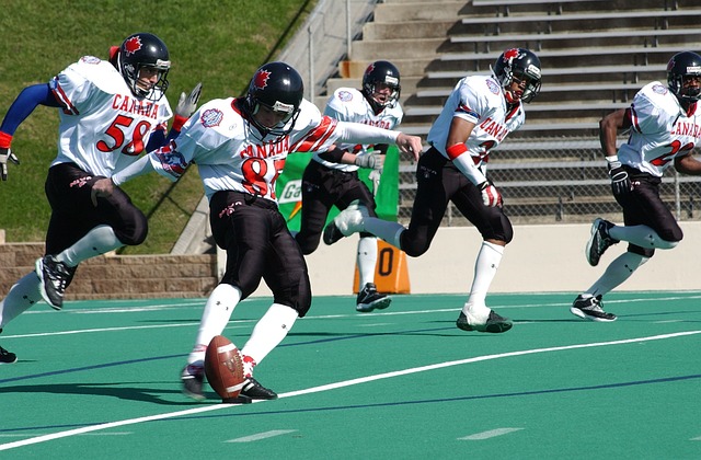 政府与企业 政府与企业