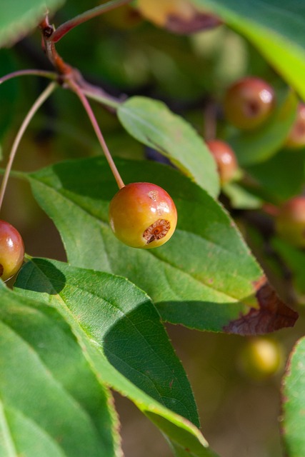 并通过大量 并通过大量
