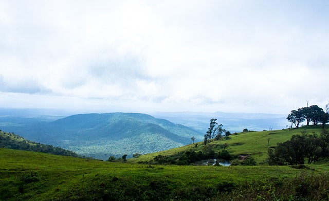 一个运动员 一个运动员
