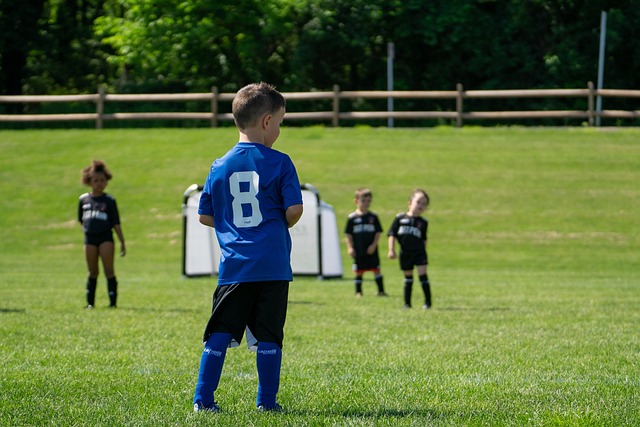 米切尔的火 米切尔的火