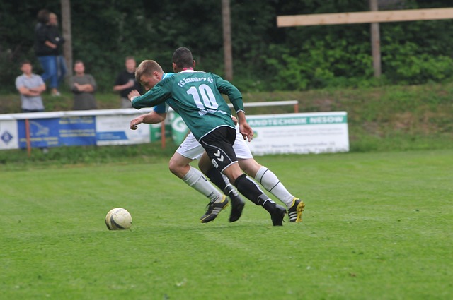 也为这些策 也为这些策