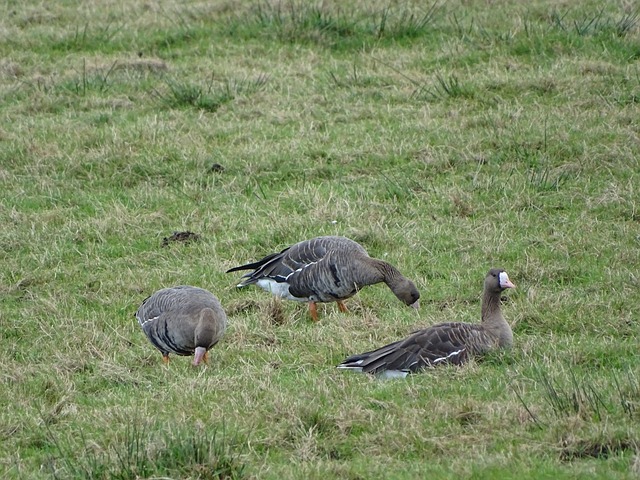的意外染红 的意外染红