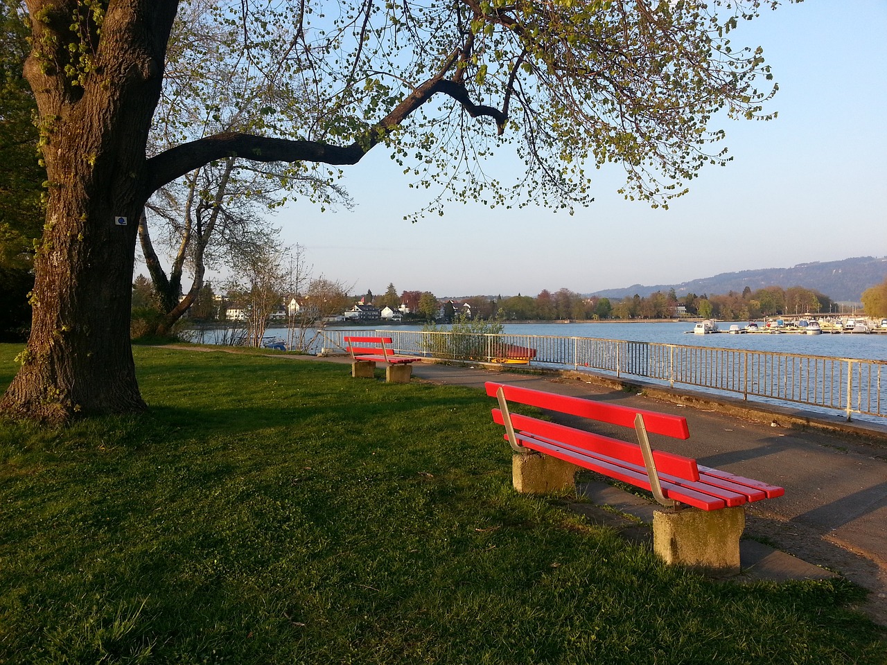 仅关乎经济 仅关乎经济