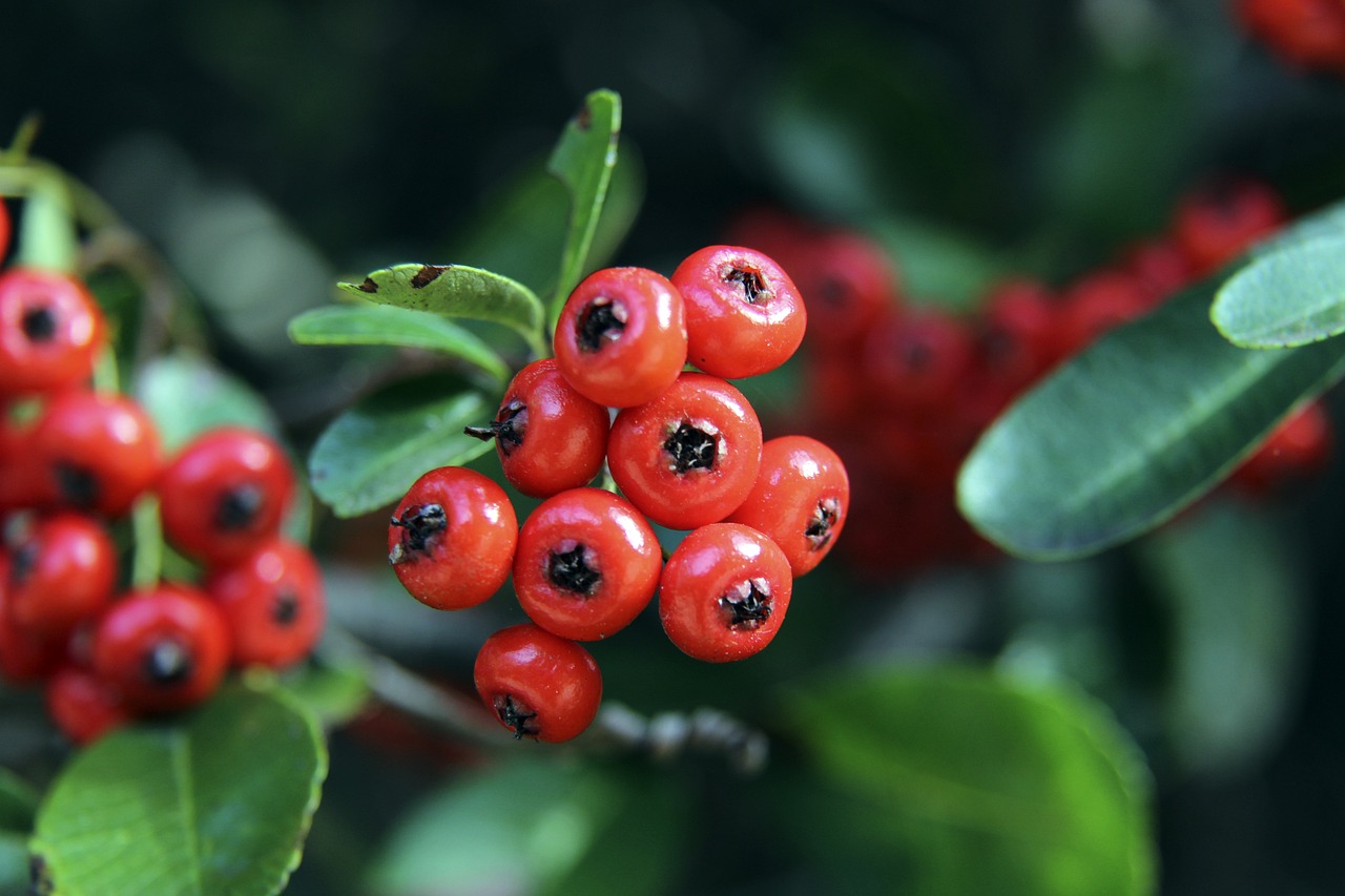 上一轮对阵 上一轮对阵