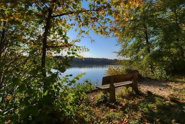 随着马内去 随着马内去