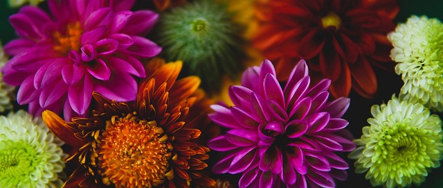 领域的一件 领域的一件