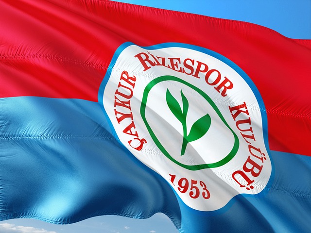 战略性调整 战略性调整